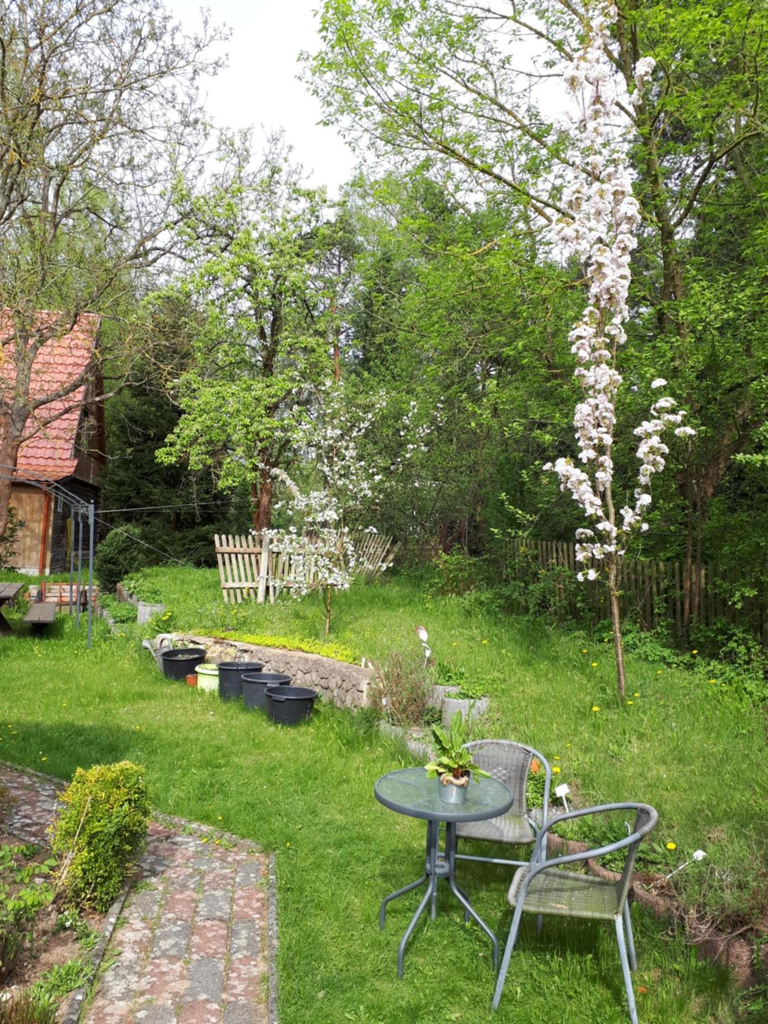Apartment Kraeuter-heidi Garten